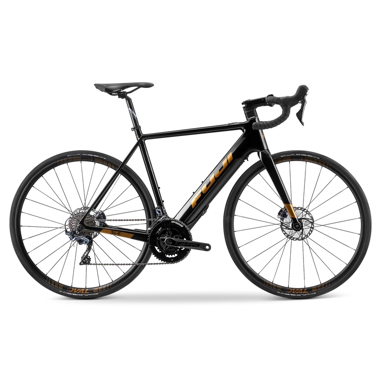 2022_Fuji_SL-E_Gold